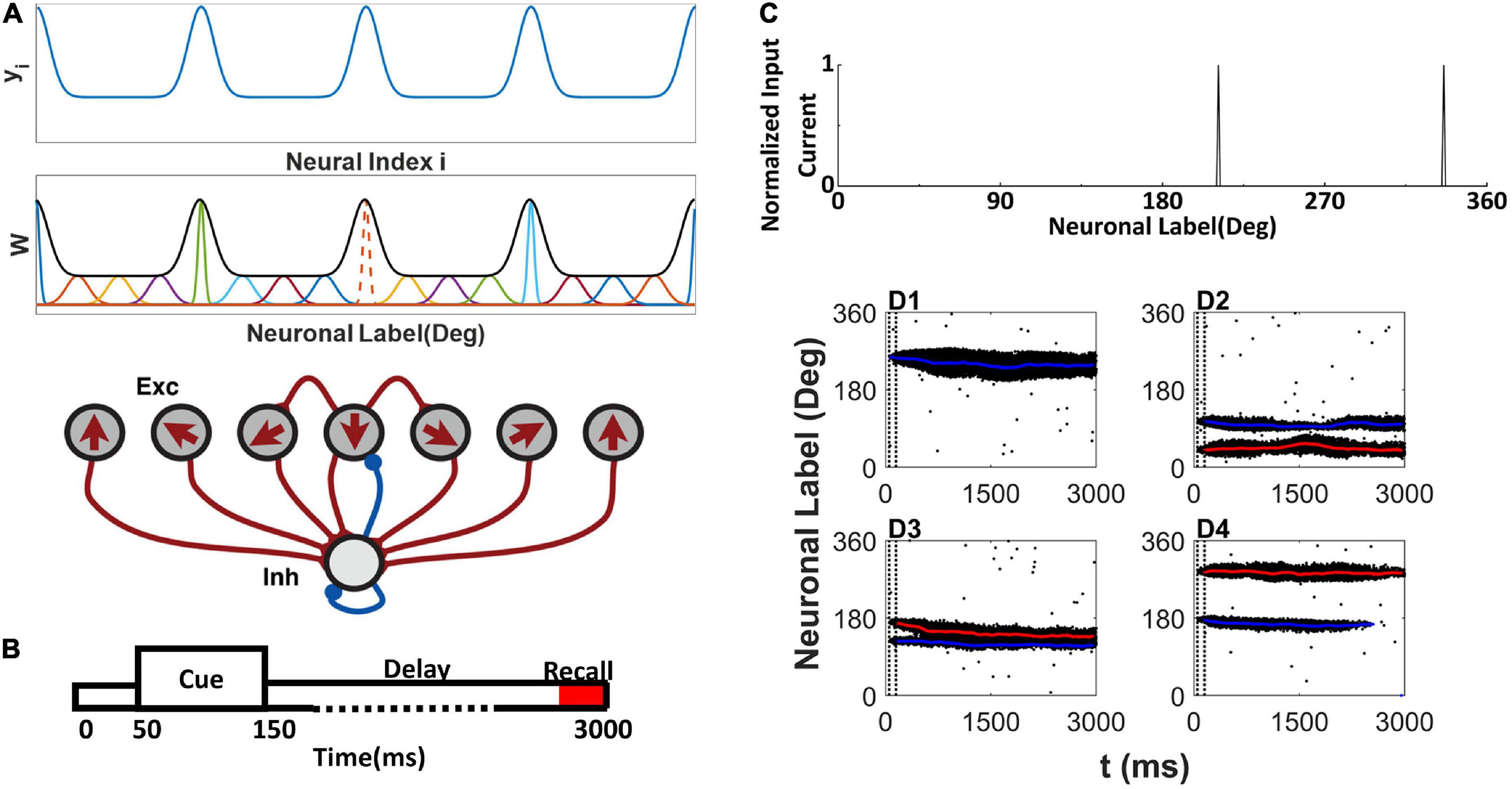 A spiking network model for clustering report in a visual working memory task